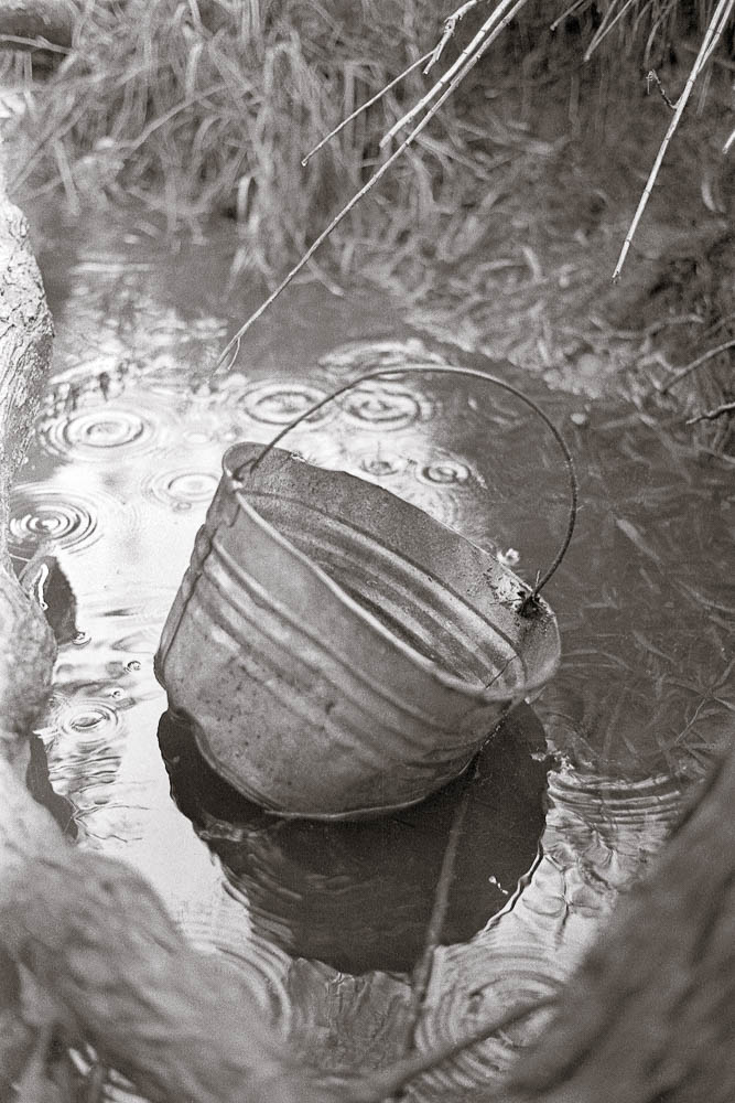 Bucket of Rain LARRY BLACKWOOD